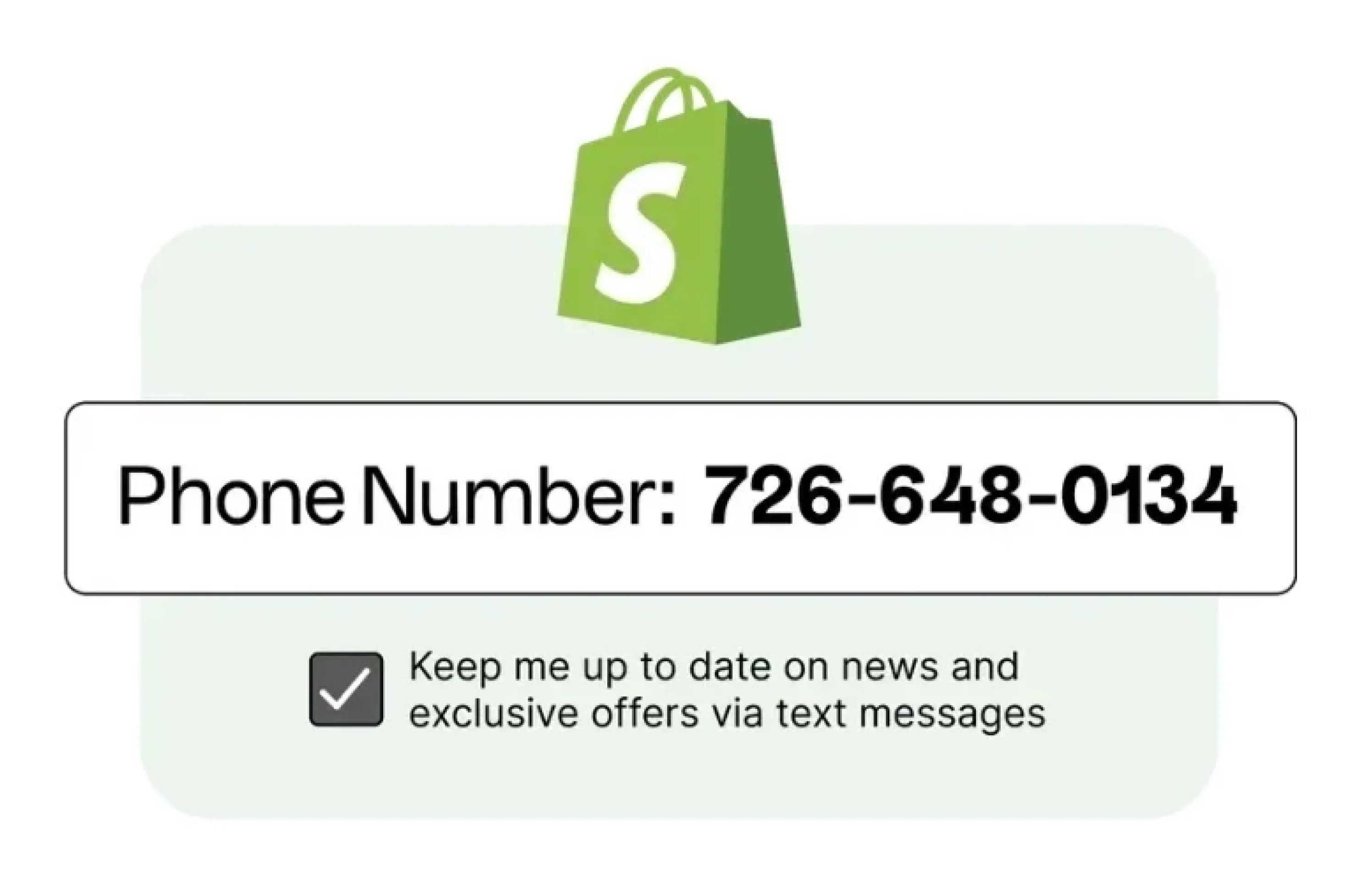 Shopify checkout subscription screenshot